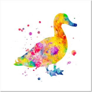 Duck Watercolor Painting Posters and Art